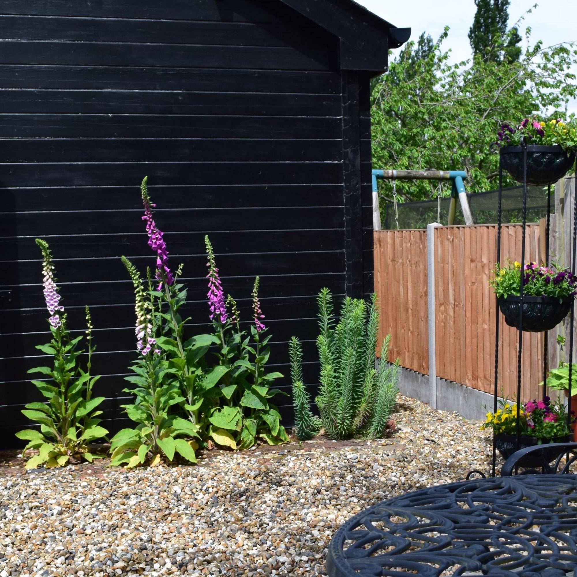 Sandhurst Farm Forge Self Catering Stableblock Sittingbourne Exterior photo
